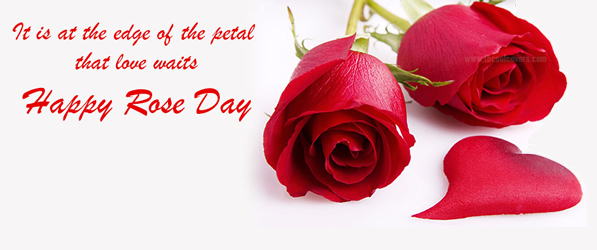 Happy Rose Day