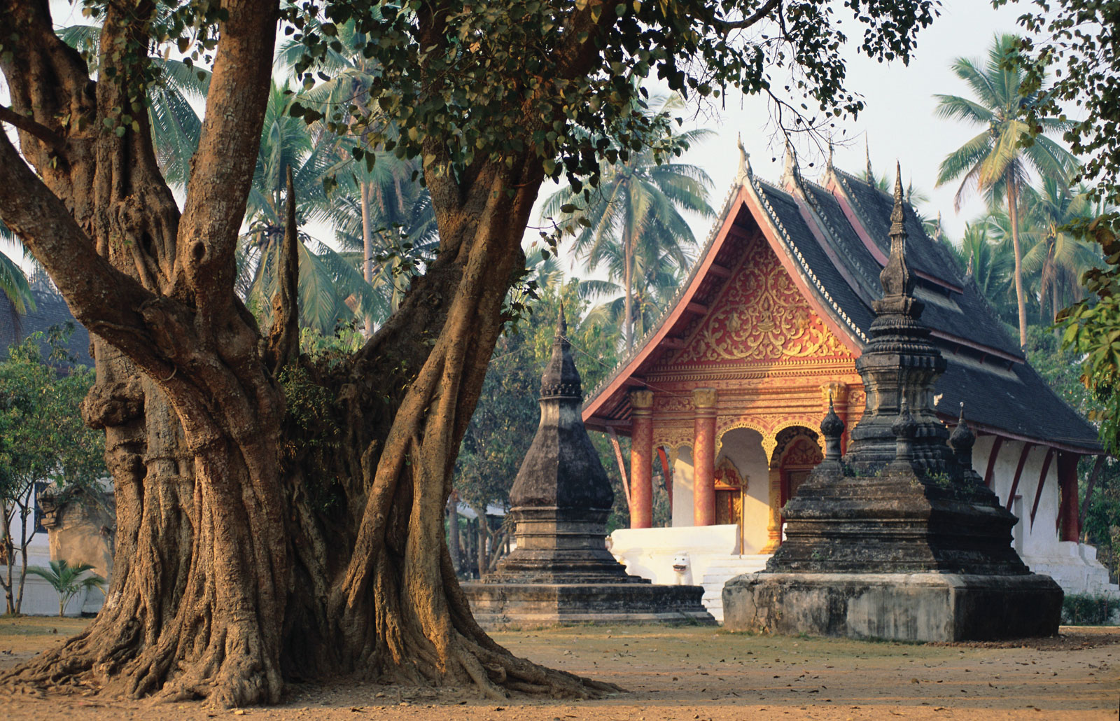 tours and travels
