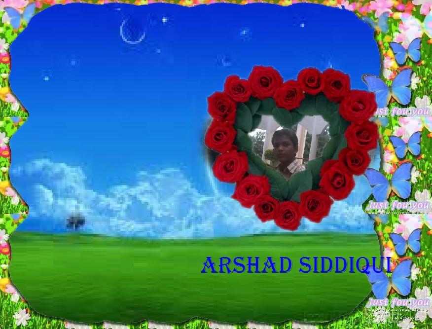 My Photo