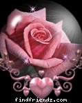 a rose for friendshi