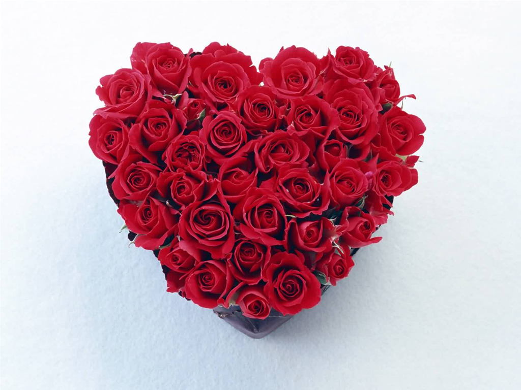Valentine Day Wallpaper