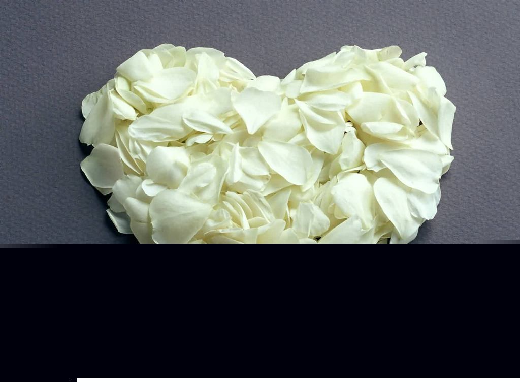 Valentine Day Wallpaper