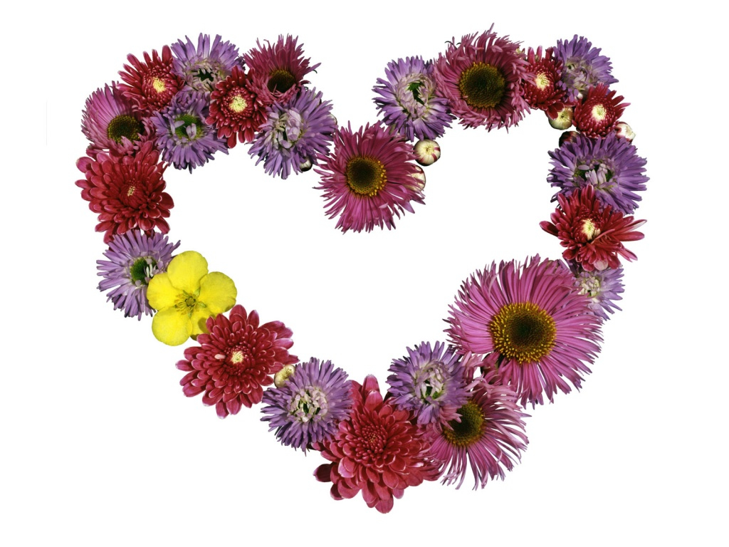 Valentine Day Wallpaper