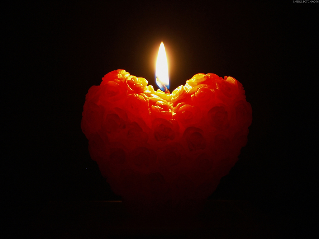 Valentine Day Wallpaper