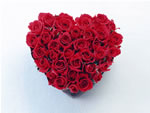Valentine Day Wallpaper