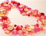 Valentine Day Wallpaper