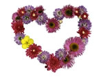 Valentine Day Wallpaper