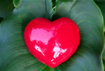 Valentine Day Wallpaper