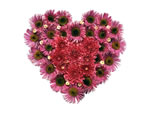Valentine Day Wallpaper