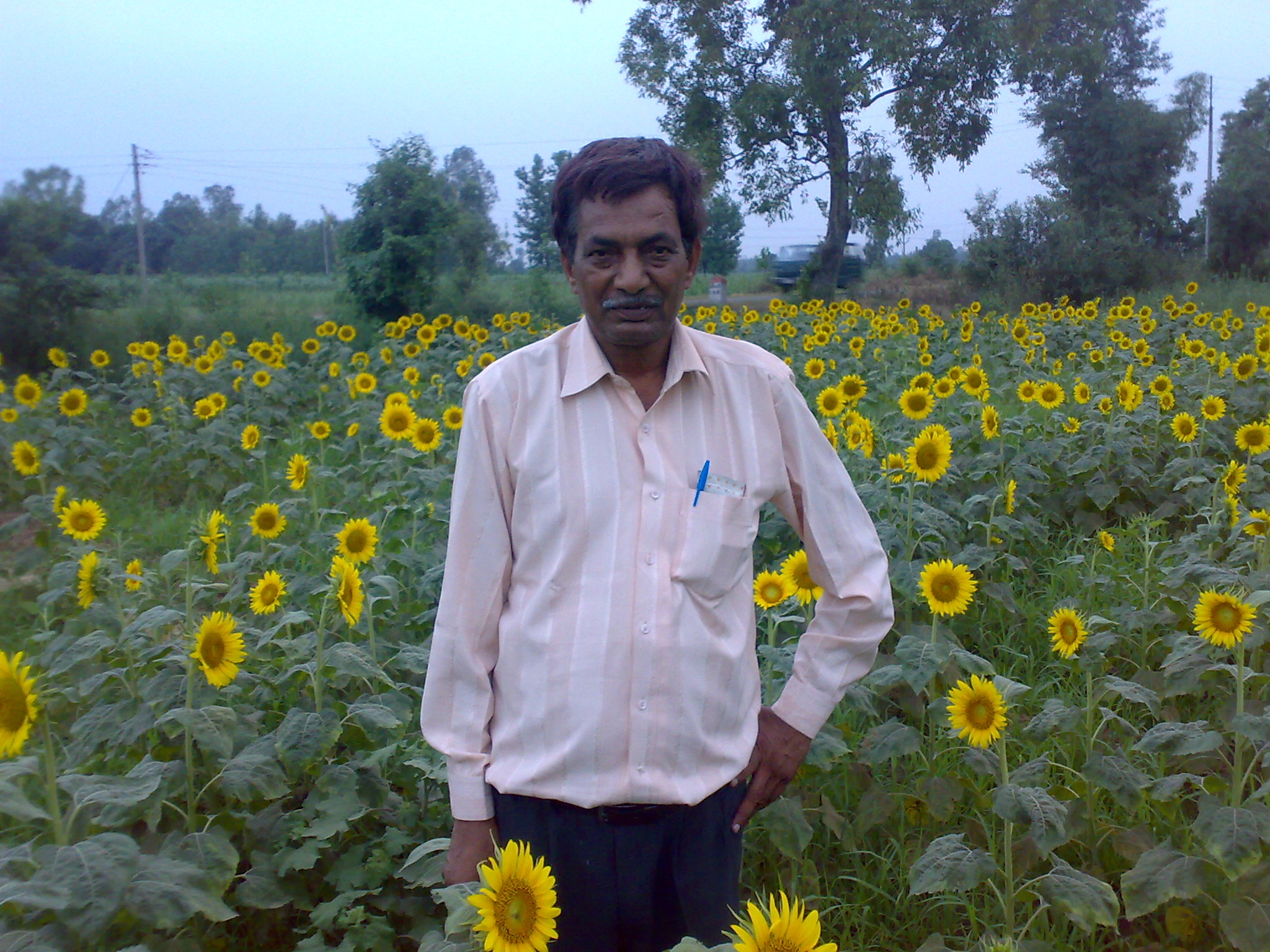 My Fother in our fild