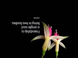 good