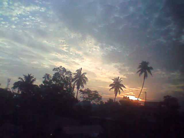 hii driends too u