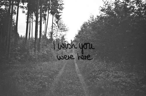 i Wish You Were here