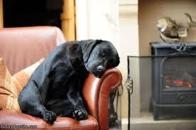good night