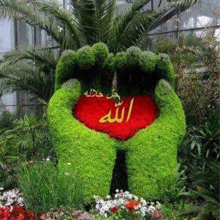 Mercy of Allah