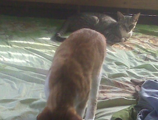 That is a cute couple