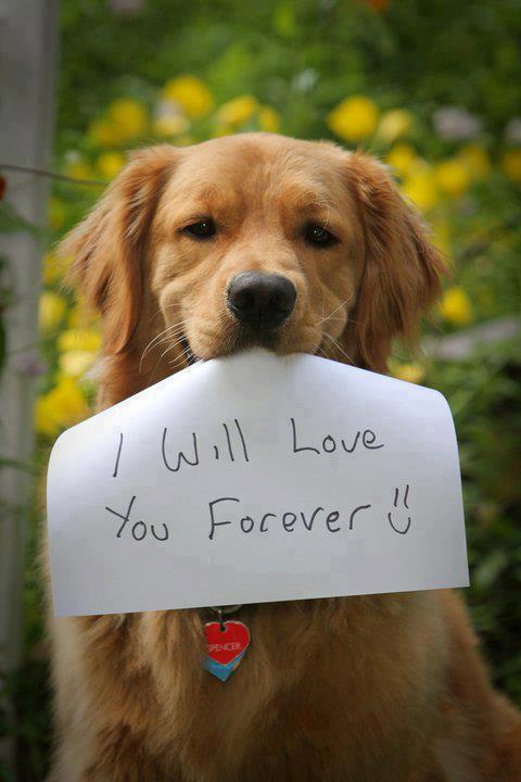 i will love you forever