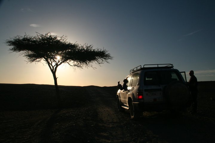 sahara 