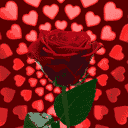 forewer love
