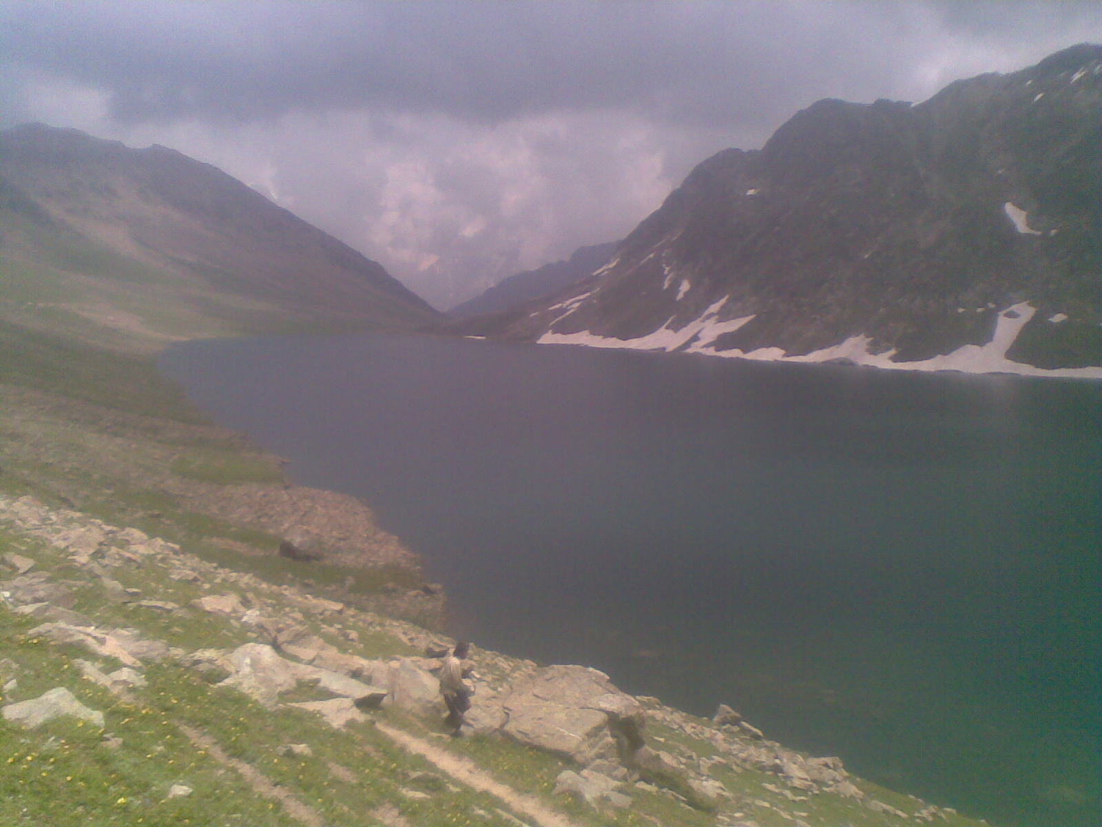 taarsar
