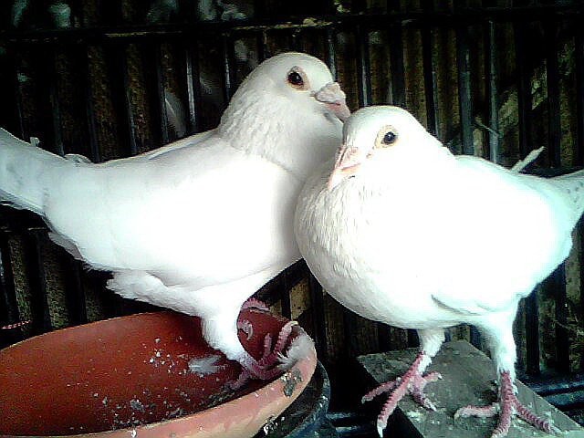 u an me