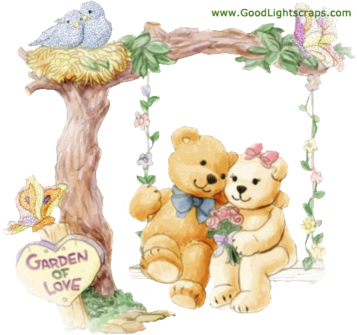 golden teddy