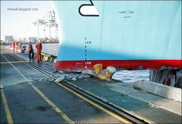 funny photos