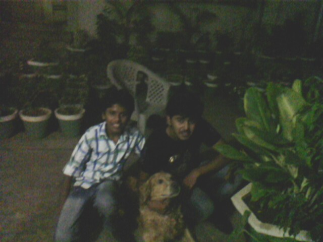 i tuffy and addi