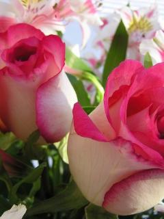 For u friends.