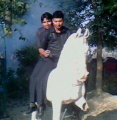 punit