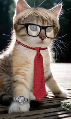 mr.prefect....:)