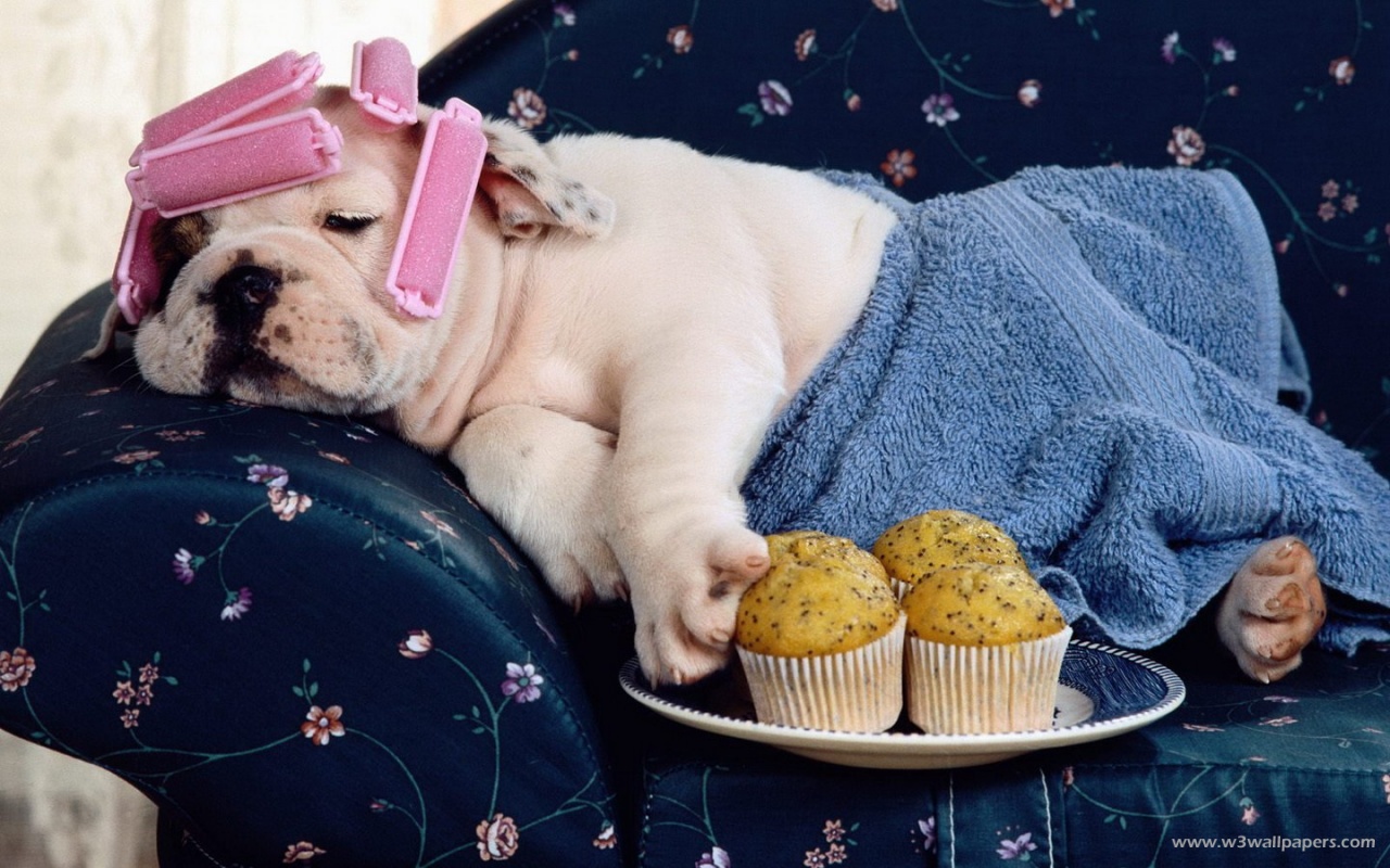 where r u am waiting 4 too many minuts