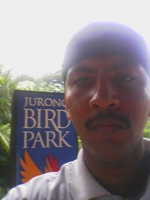 in singapore 