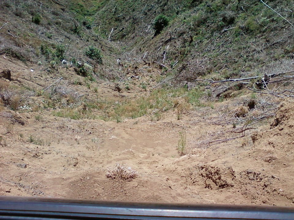 an i could of died 