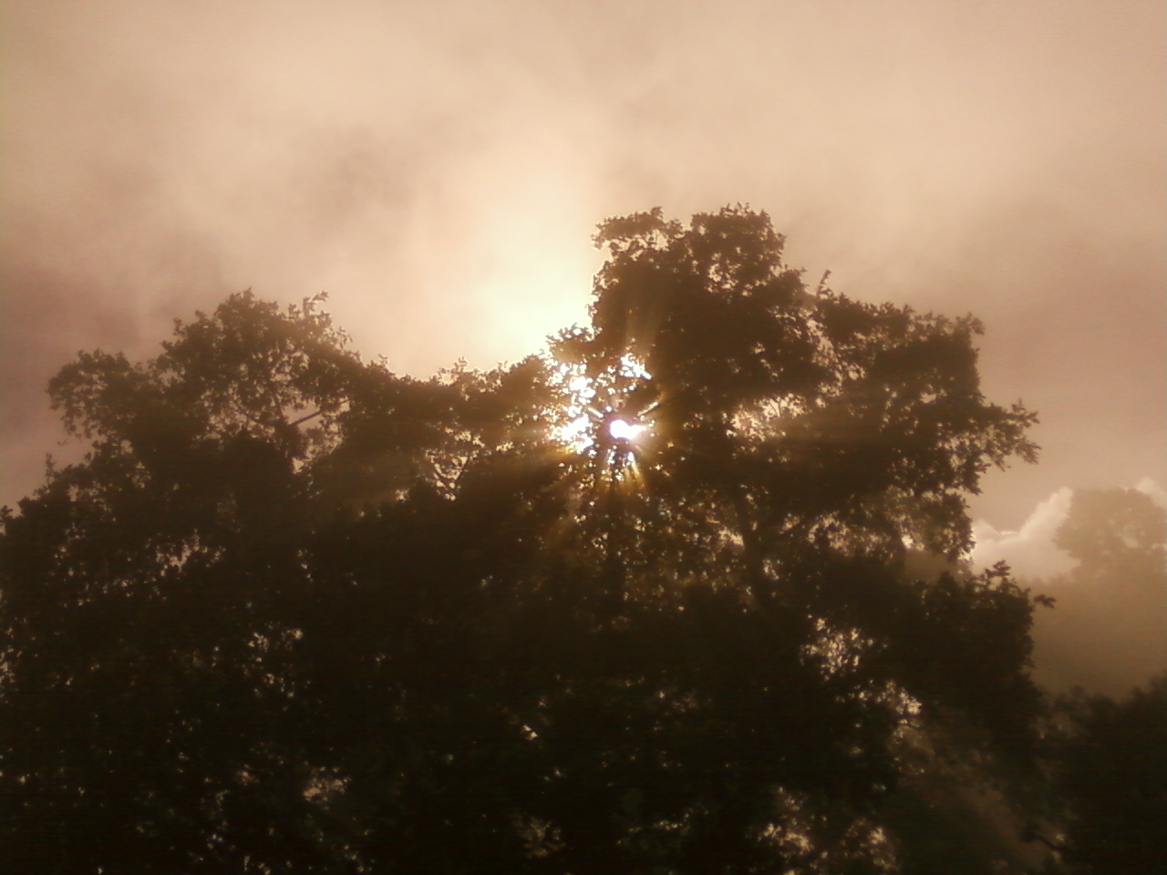 taken @ kodaikanal by me