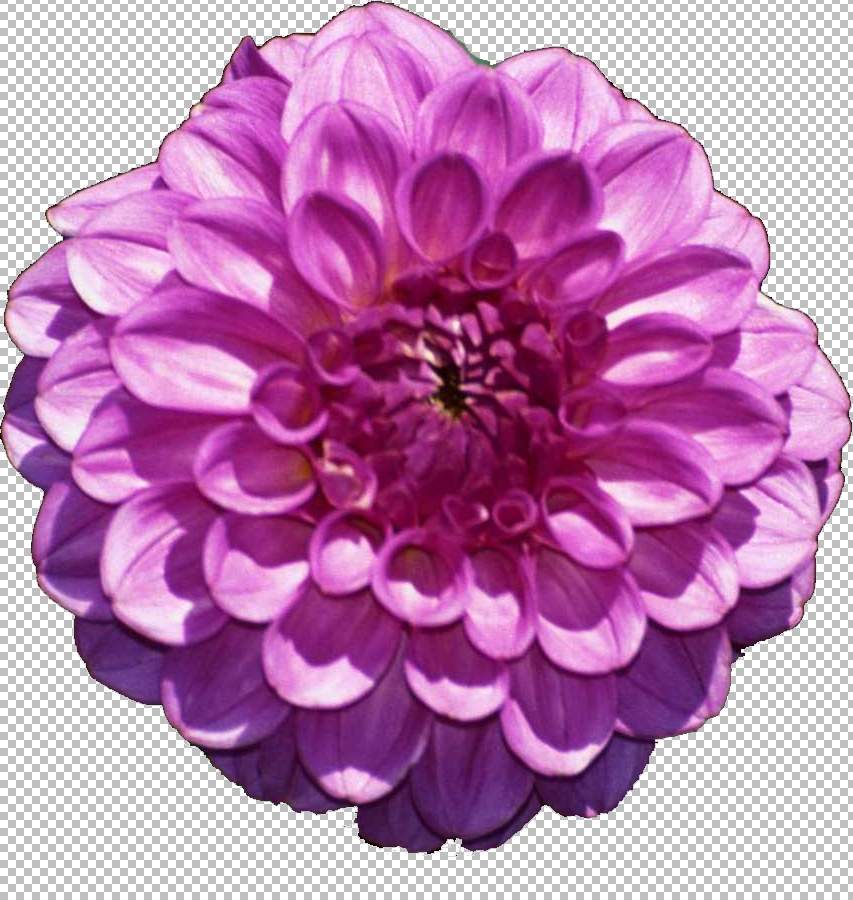 lovely---