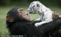 best animal:)