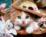 ITS u