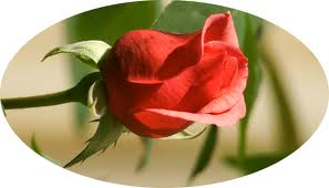 9047413287
i love u
girls contact me
