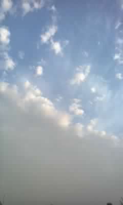 Mrd