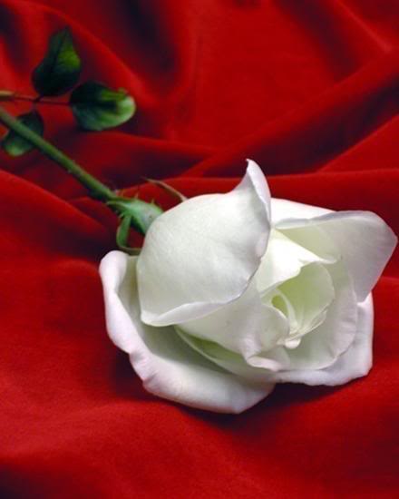 its for u my friend