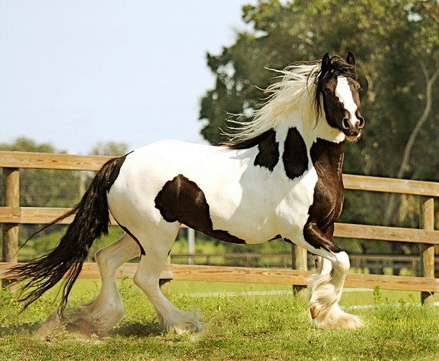Waaw nice