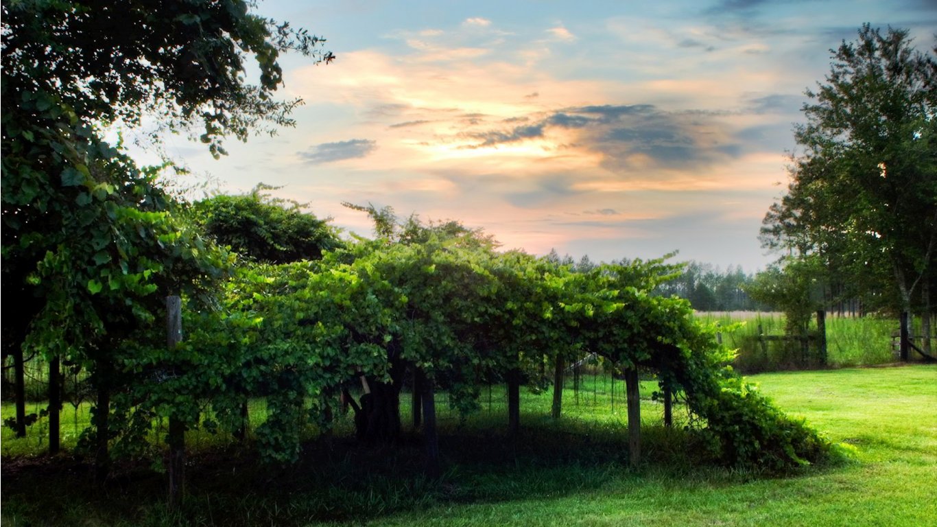 a beautiful place