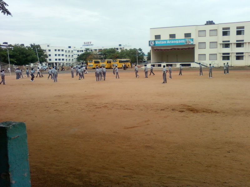 my collage field