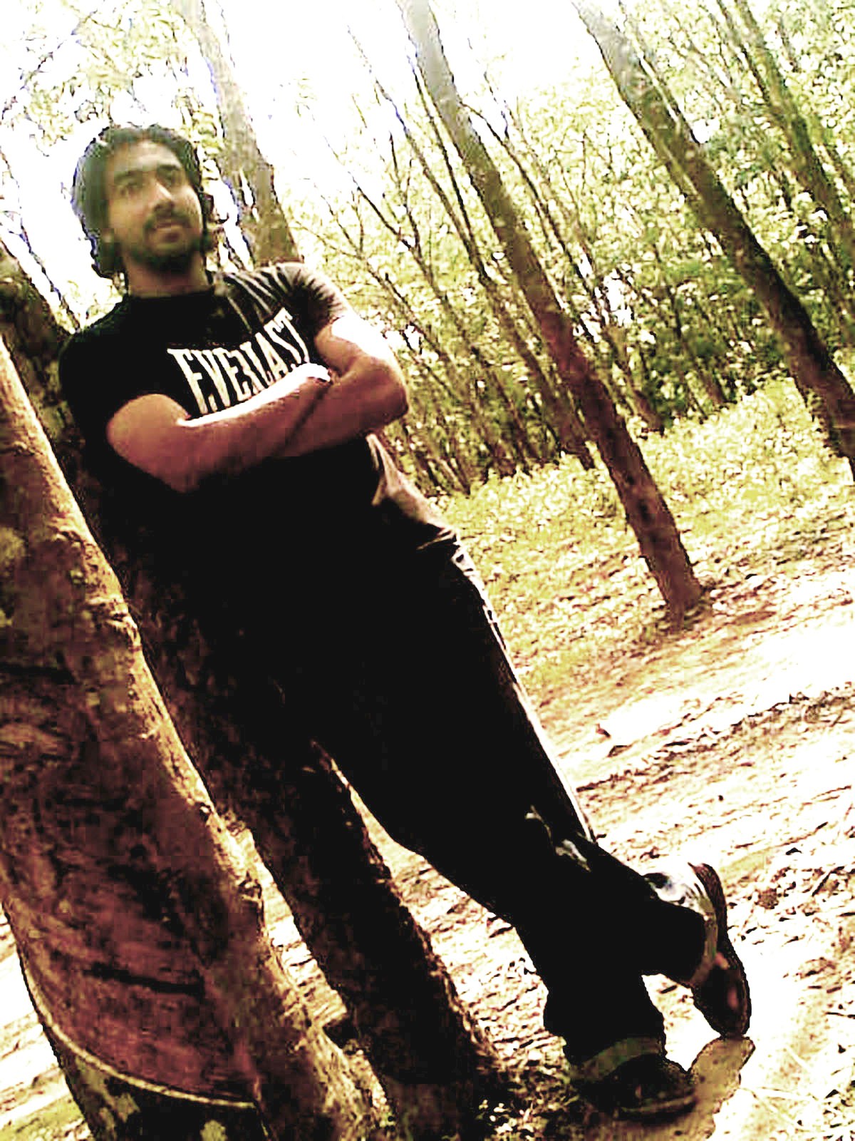 under the greenwood tree