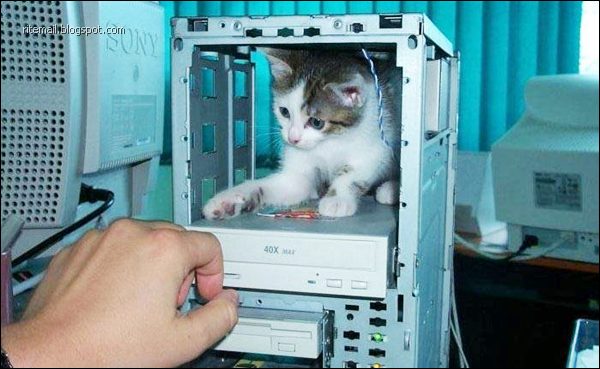 funny photos