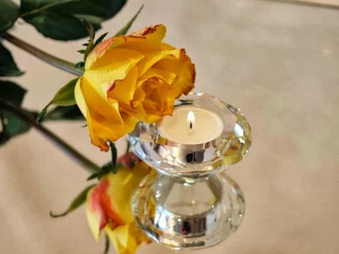 The roses for my would be friends
