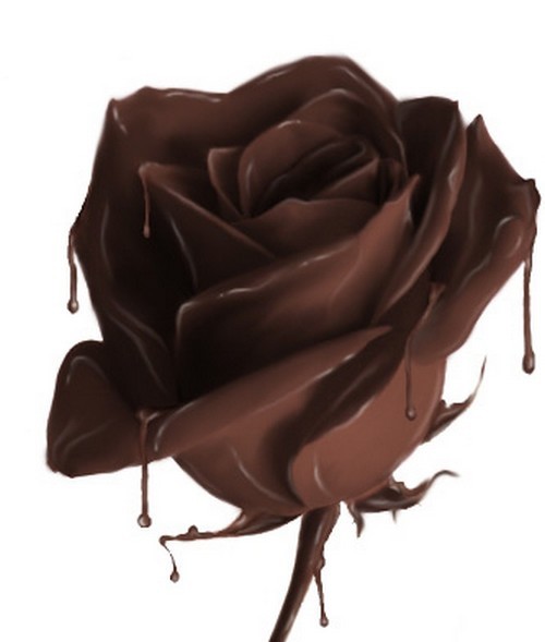 chocolate ROSE