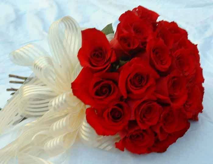 

Hello dear am single lady, i was impressed to write to you after going through your profile here