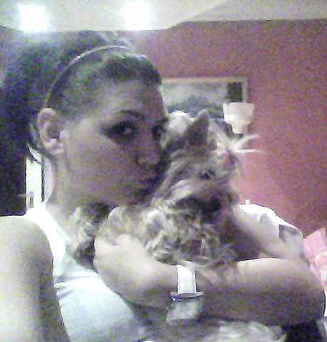 my little dog 